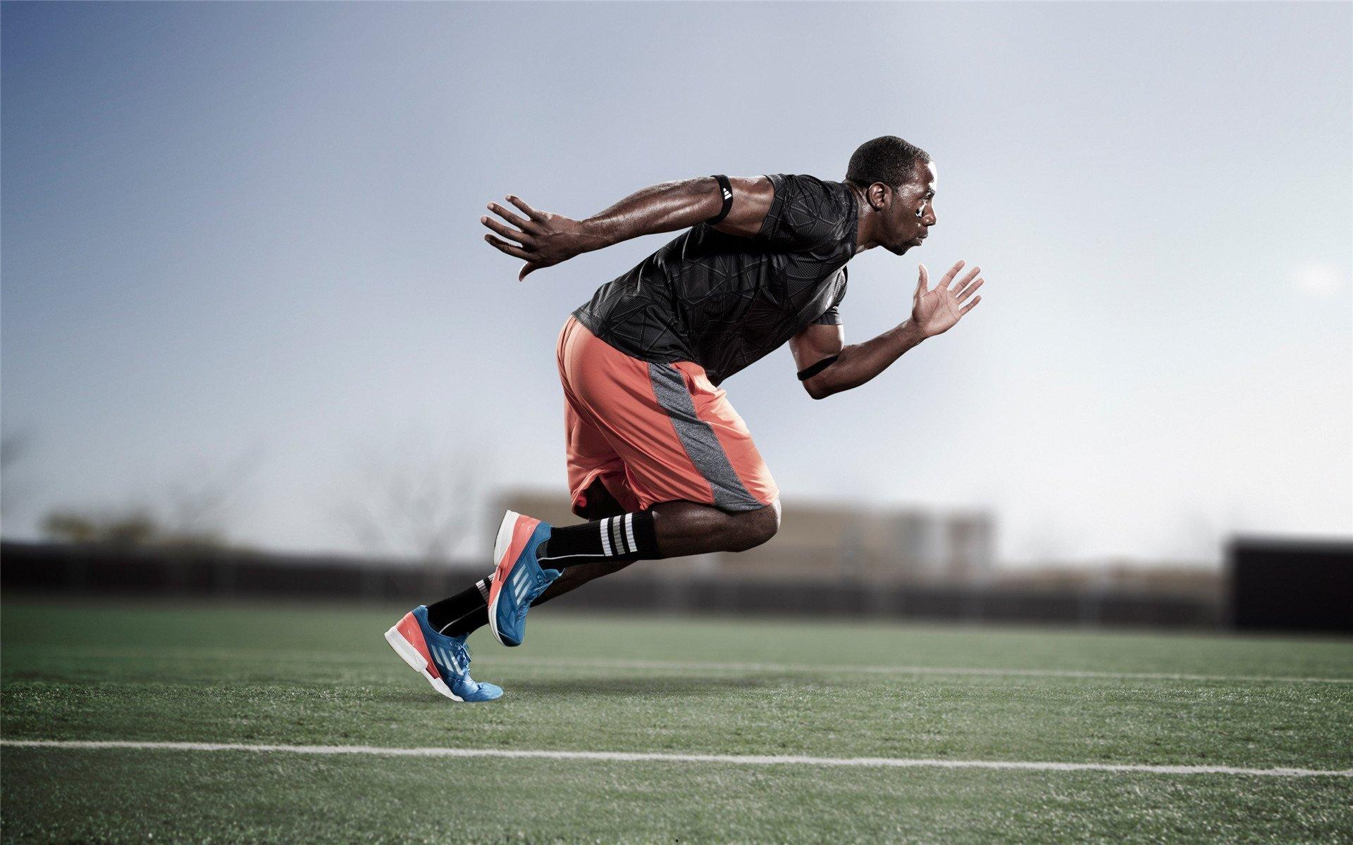 体育政策新规出台,全民健身计划升级,职业联赛改革加速