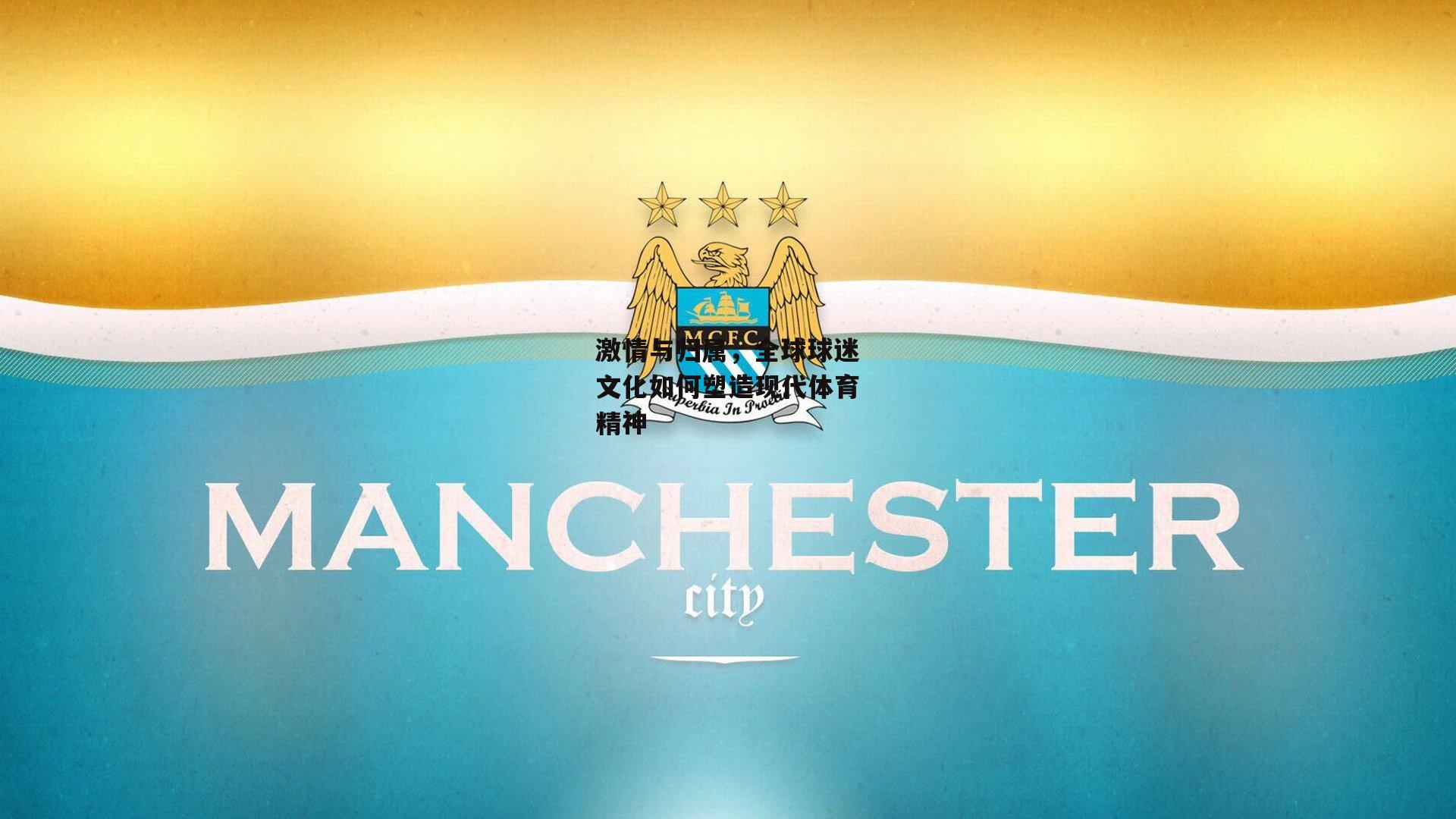 激情与归属，全球球迷文化如何塑造现代体育精神