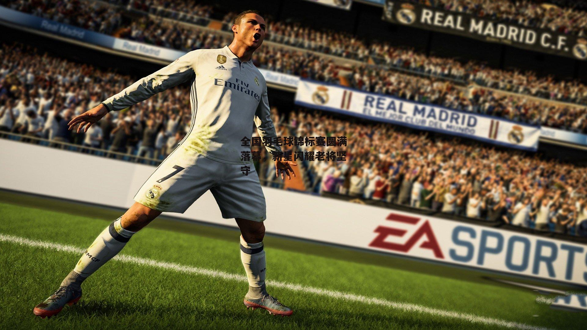 全国羽毛球锦标赛圆满落幕，新星闪耀老将坚守