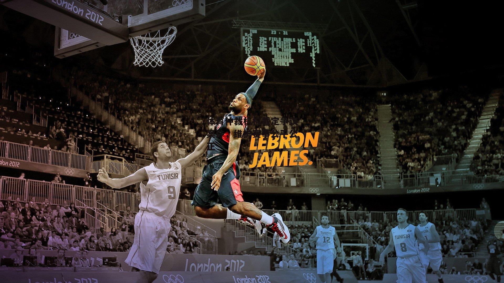 体育仲裁机构裁定争议案件，维护赛事公平公正-YY易游体育官网