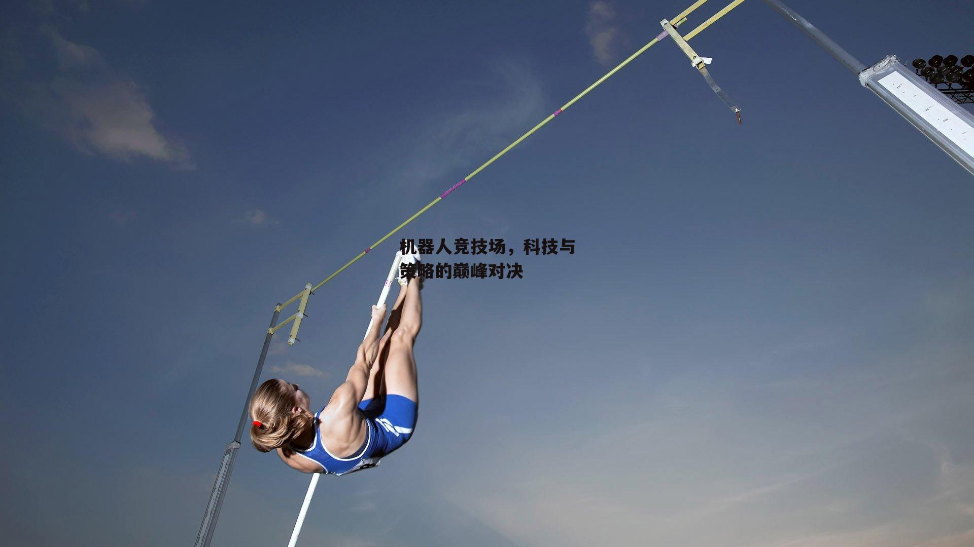 机器人竞技场，科技与策略的巅峰对决